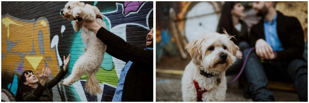 Dog Lovers Chicago Engagement Session This Is Feeling Photography